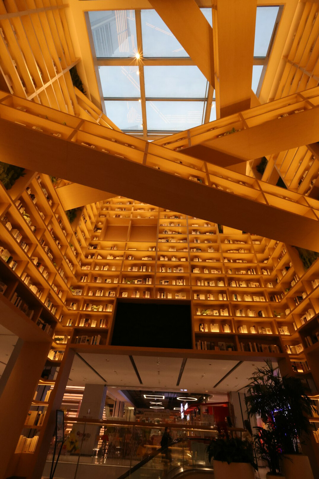Bright university library reading room with tall windows and wooden shelves